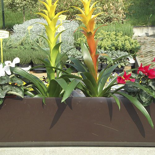 プラスチック製プランター - BIO-FLOWERPOTS  - ecohousesystem - 長方形 / 円形 / UV耐性