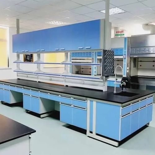 紙製仕事台 - LABORATORY PRO - Changzhou Zhongtian Fire-proof Decorative Sheets Co., Ltd. - 炭素鋼製 / フェノール樹脂製 / 学校用