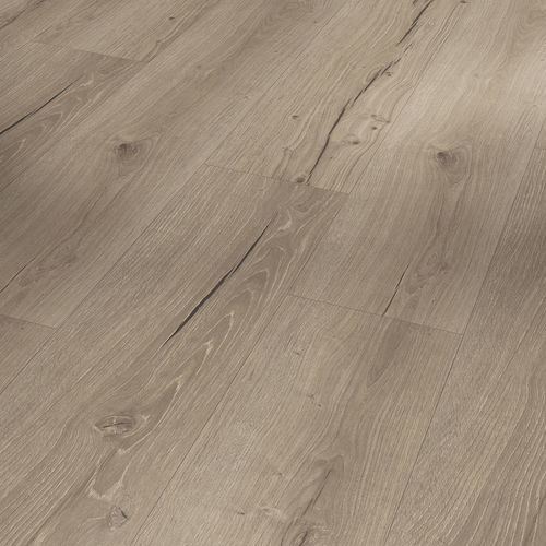 SPCで床材 - OAK CAMBRIDGE TAUPE  - PARADOR - 屋内用 / リビング用 / オフィス用