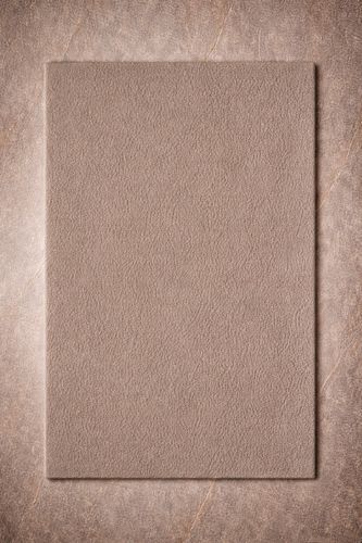 現代風絨毯 - TAUPE - Softicated - 無地 / ウール製 / 長方形