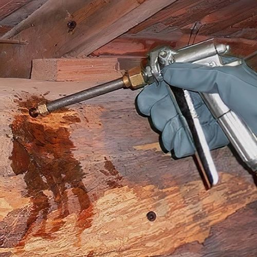 木材保存保護処理 - TECHNICIDE M - TECHNICHEM FRANCE - 液体 / 屋内用 / かび防止剤