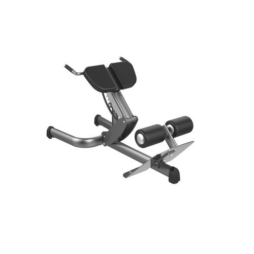 バックエクステンション筋力トレーニングマシン - G4119 - gym80 International GmbH - 屋内用 / 業務用