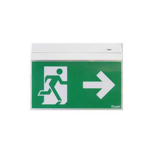 天井非常照明 - MOTUS PICTOGRAM - iGuzzini/イグッチーニ - 壁取り付け式 / 埋め込み式 / 長方形