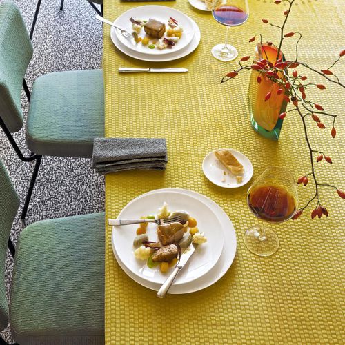張り地 - ALMORÒ - Rubelli/ルベリ - カーテン用 / 無地 / コットン