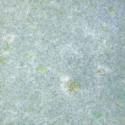大理石板石 - CELESTE CINZIA - FURRER - 床用 / 屋内用 / 緑