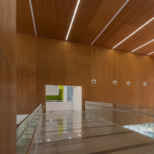 防音壁面装飾材 - Derako® Veneered Panels Wall - Hunter Douglas Architectural - 屋内用 / 突板 / 滑らかな仕上げ