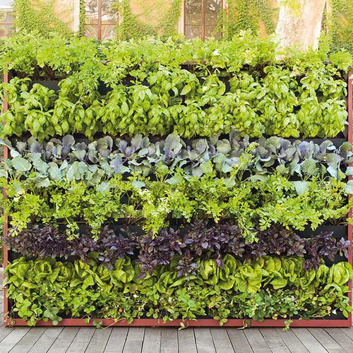 塗装金属製格子 - GREENERY - PAOLA LENTI