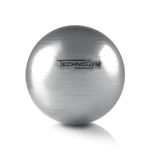 大型サイズピラティス ボール - WELLNESS HOME - TECHNOGYM