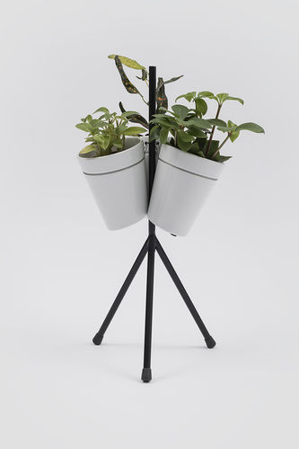 金属製植物用サポート - WINDOW GARDEN - Danese - 円錐形 / 都会用 / モジュール式