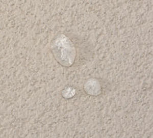 装飾塗料 - HDP™ WATER-REPELLENT PAINT   - Dryvit - 壁用 / シリコン樹脂 ベース / 防水材