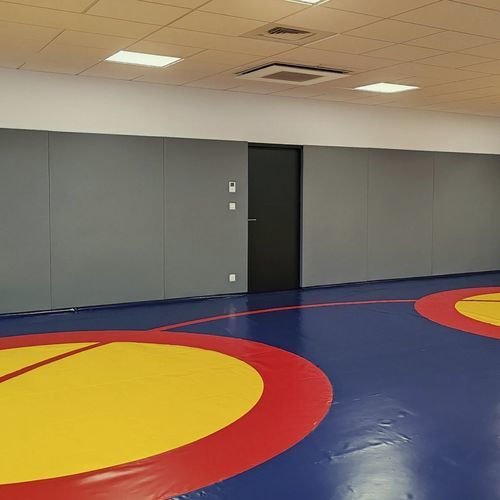 発泡体壁保護 - PROT-MUR.2 - Modugame - MG Sport - PVC / 装飾