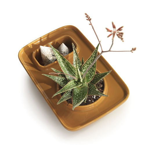 砂岩製小物入れ - PLAT design Alessandro Zambelli - Caimi Brevetti SpA