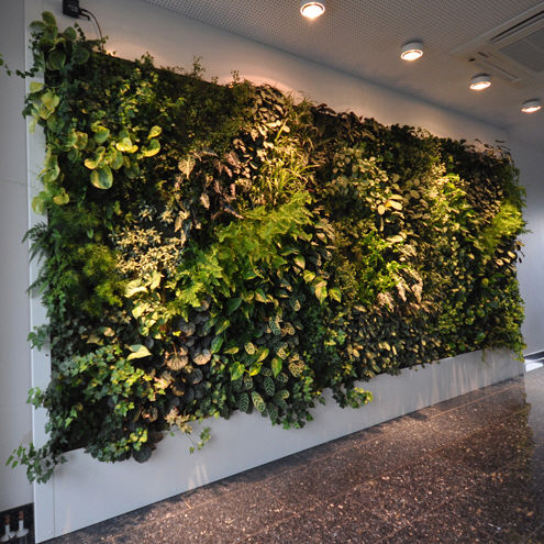 屋内用緑化壁 - LIVEPANEL - PFLANZENWAND / VERTICAL GARDEN / JARDIN VERTICAL - Freund GmbH - 自然換気