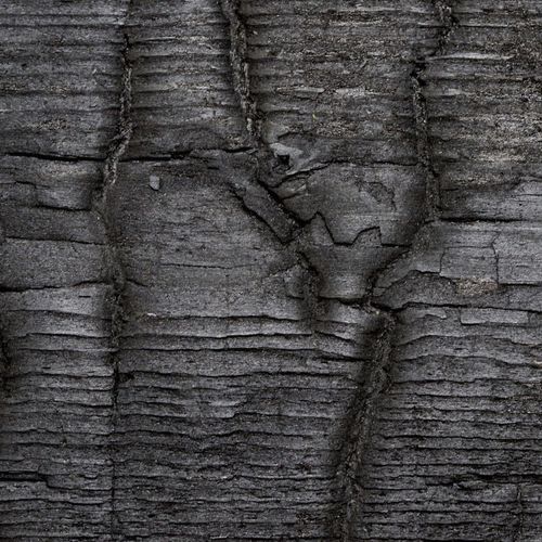 壁取り付け式装飾パネル - MAGMA - verbranntes Holz / conserved wood / bois brûlé - Freund GmbH - 木製 / ラッカー仕上げ / 油塗り済み