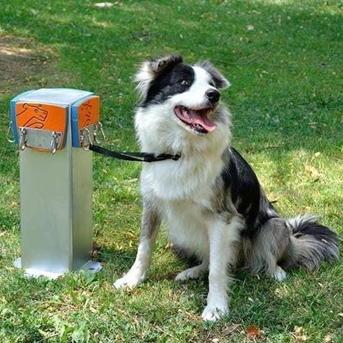 犬の公園用車止め - R9055 - Industrias Agapito - 保護用 / 溶融亜鉛メッキ鋼製 / ステンレス製