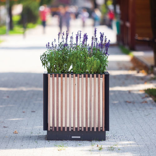 マツ製プランター - KVĚTA - mmcité street furniture - ハード ウッド製 / スチール製 / 正方形