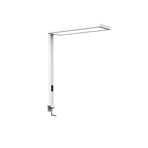 卓上ランプ - MAULSENJA - MAUL - アルミニウム / 現代風 / ワイヤレス