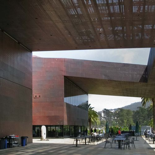 パネルサイディング - DE YOUNG MUSEUM - A. Zahner - 亜鉛 / 銅 / 金属板