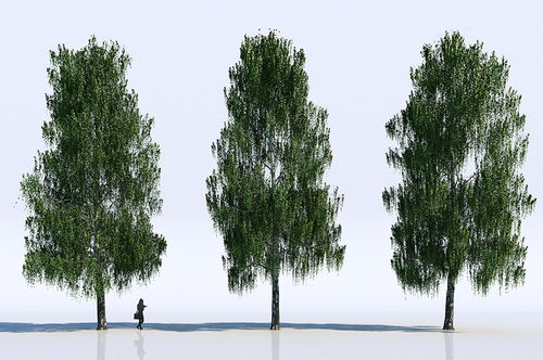 2D/3D道具ライブラリ - TREES - VizPeople Cut Out people