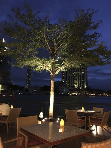 IP65プロジェクター - UTAH  - LIGMAN Lighting Company Limited - LED / 庭用 / 公共スぺース用