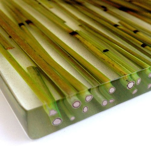 建築用装飾パネル - CY-1008 - AkrylDek s.r.o. - 間仕切壁用 / キッチン用 / シャワー用