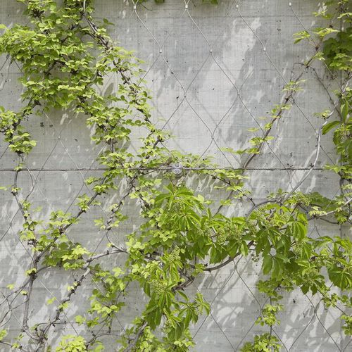 ステンレススチール製ワイヤーメッシュ - GREENING - JAKOB FRANCE  - 外壁用 / ダイヤモンドメッシュ