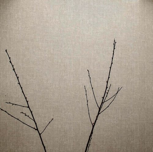 現代風壁紙 - PICTURA : LINEE - Parato - ビニール製 / 無地 / ファブリック調
