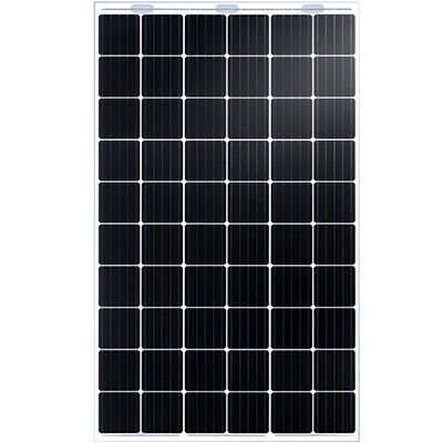 単結晶太陽電池パネル - NIPRO DUAL TD6D60M - Talesun Solar - デュアル レンズ / フレーム無し / PID不使用