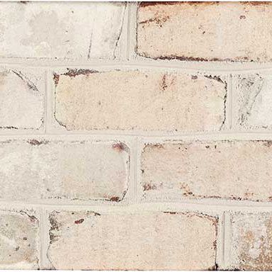 外壁用煉瓦 - CHESAPEAKE PEARL - PINE HALL BRICK - ソリッド / 白 / 青