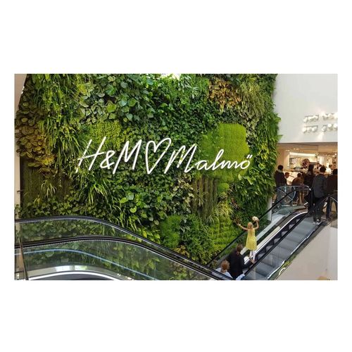 生きている植物バーティカルガーデン - H&M AT GUSTAV ADOLFS TORG - GREENWORKS SWEDEN - オーダーメイド / 天然 / 屋内用