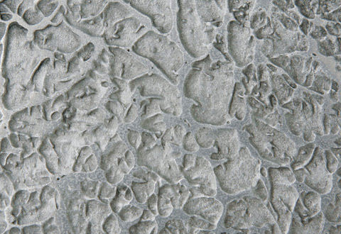 装飾塗料 - ALUMINIUM : BLACK WAX - Metalier International Ltd - 壁用 / メタリック エフェクト