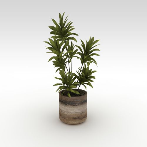 トラバーチン製植木鉢 - basic - Arredo di Pietra srl - 円形 / UV耐性 / 耐霜性