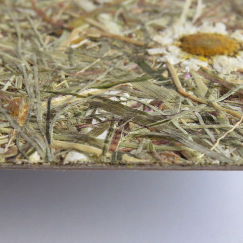 屋内用装飾パネル - WILDSPITZE MARGERITTA - Organoid Technologies GmbH - 自然繊維 / HPL / テクスチャード仕上げ