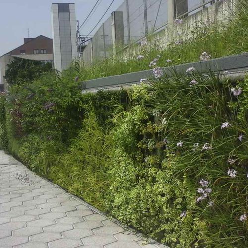 生きている植物緑化壁 - BERANGO, BIZKAIA - Paisajismo Urbano - モジュール式パネル / 天然 / 庭用