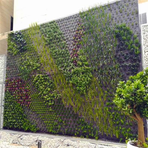 生きている植物緑化壁 - AVDA. GENERAL MARVA, ALICANTE - Paisajismo Urbano - モジュール式パネル / 天然 / 庭用