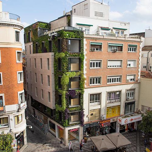 安定緑化壁 - MONTERA STREET - MADRID - Paisajismo Urbano - モジュール式パネル / 天然 / 庭用