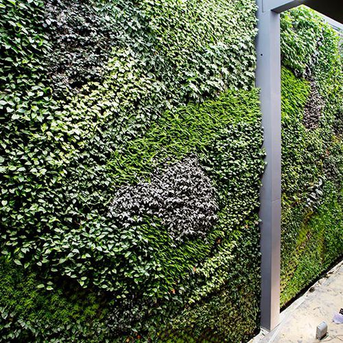安定緑化壁 - VERTICAL EN ALCORCÓN - SEAFOOD RESTAURANT - Paisajismo Urbano - モジュール式パネル / 天然 / 屋内用