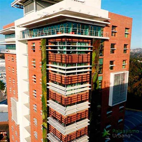 生きている植物緑化壁 - GUATEMALA - CRECE BUILDING - Paisajismo Urbano - コラム / 天然 / 花