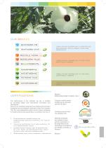 Construction Catalog-5