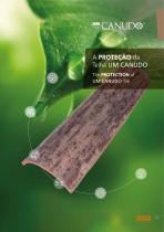 UM Canudo_2023-11