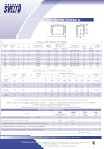 Brochure Vespaio Svelto-6