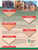 Plywood Products Summary - 3