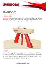 POMMEL HORSE-2