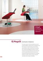 IQ MEGALIT - 2