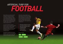 Desso Turf-5