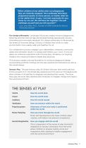 A Higher Level of Inclusive Play Brochure-7