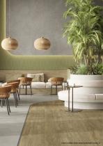 Sense Novelties 2025-49