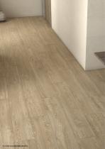 Sense Novelties 2025-54