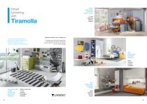 company profile tumidei 2018-11