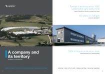 company profile tumidei 2018-3